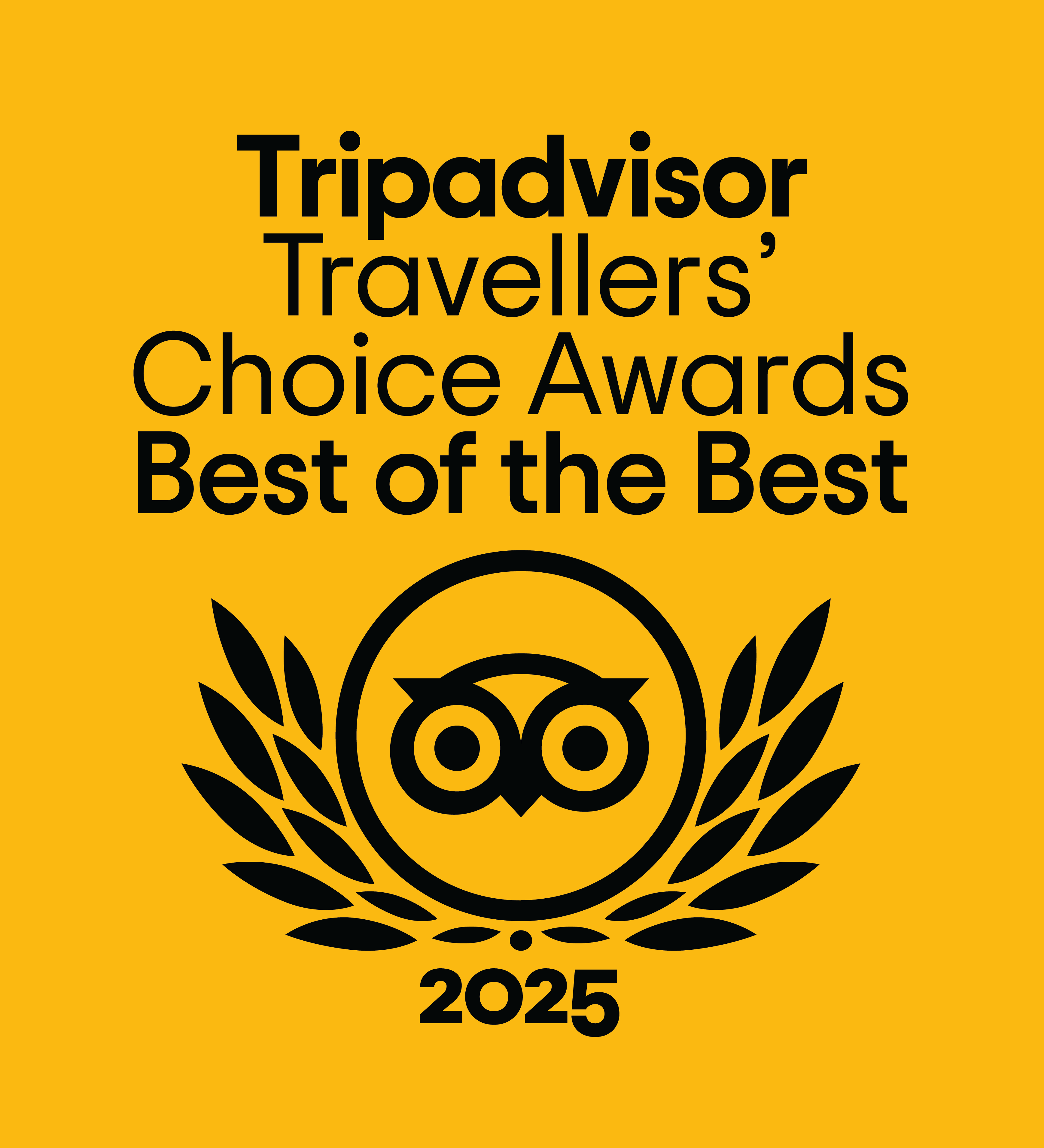 TripAdvisor Travellers Choice Awards 2025